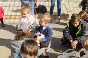 Hoopes Events | Zermatt Spring Extravaganza | 2018 | Zermatt Utah Resort | Midway Utah | Young Children Petting Rabbits Zermatt_Spring_Extravaganza_2018_Zermatt_Utah_Resort_Midway_Utah_Young_Children_Rabbits.jpg