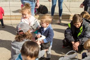 Zermatt_Spring_Extravaganza_2018_Zermatt_Utah_Resort_Midway_Utah_Young_Children_Rabbits.jpg