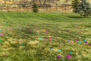 Hoopes Events | Zermatt Spring Extravaganza | 2018 | Zermatt Utah Resort | Midway Utah | Hundreds of Easter Eggs Zermatt_Spring_Extravaganza_2018_Zermatt_Utah_Resort__Midway_Utah_Hundreds_of_Easter_Eggs.jpg