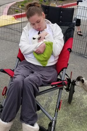 Everyone Loves Rabbits Petting Zoo