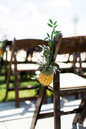 Hoopes Events | Tessa and Taani | Utah State Capitol | Salt Lake City Utah | Details | Pineapple-Decorated Chairs at Wedding Ceremony Tessa_Taani_Utah_State_Capitol_Salt_Lake_City_Utah_Detail_Pineapple_Decked_Chairs.jpg