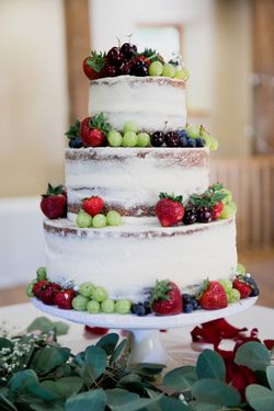 Liz_Jordan_Tracy_Aviary_Salt_Lake_City_Utah_Fresh_Fruit_Decorated_Naked_Cake.jpg
