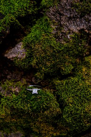 Hoopes Events | Shauna and Blake | Northampton House | American Fork Utah | Engagement Ring on Moss-Covered Rocks Shauna_Blake_Northampton_House_American_Fork_Utah_Engagement_Ring_Moss.jpg