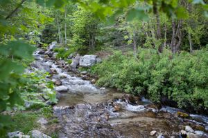 Hoopes Events | Lenora and John | Sundance Resort | Sundance Utah | Cooling Mountain Stream Lenora_John_Sundance_Resort_Sundance_Utah_Cooling_Mountain_Stream.jpg
