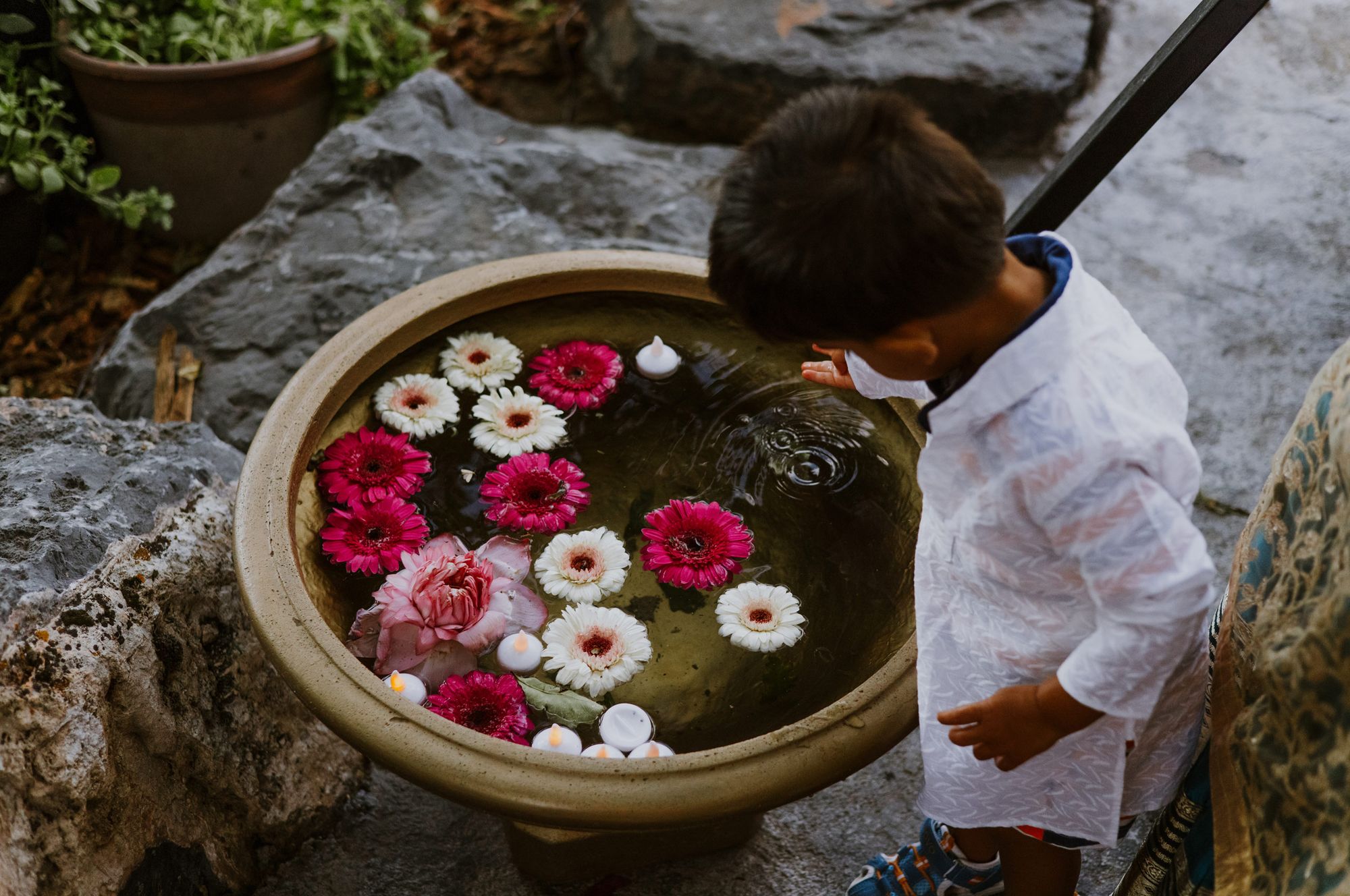Floating Flowers Haldi