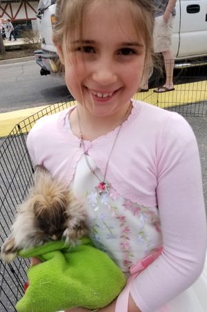 Happy Rabbit Holder Children's Activities