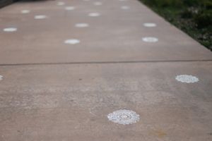 Hoopes Events | Reema and Spencer | Temple Har Shalom | Park City Utah | Kolam Trail Reema_Spencer_Temple_Har_Shalom_Park_City_Utah_Kolam_Trail.jpg