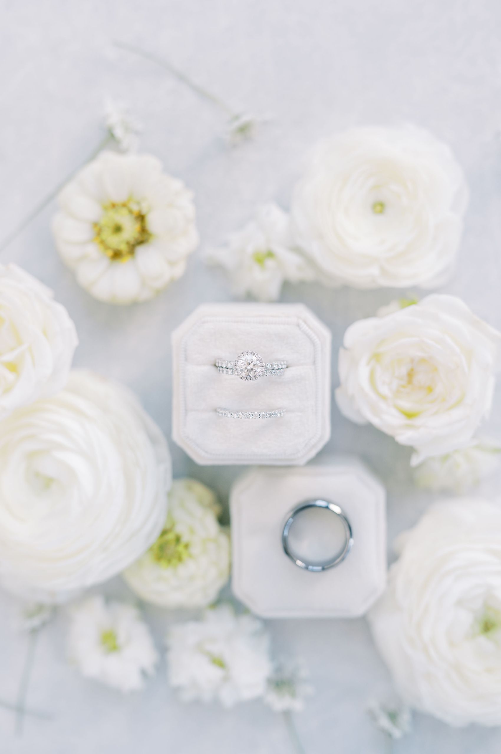 Rings Details