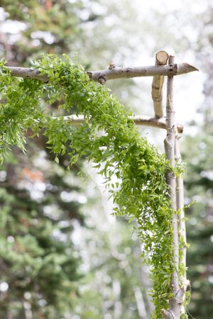 Hoopes Events | Evelyn and Kevin | Park City Utah | Arch Detail Evelyn_Kevin_Park_City_Utah_Arch_Detail.jpg