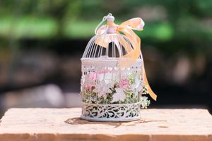 Hoopes Events | Katelyn and David | Park City Utah | Birdcage Decor Filled With Baby Breath and Pink Carnations Katelyn_David_Park_City_Utah_Birdcage_Baby_Breath_Pink_Carnations.jpg