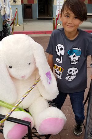 Grand Prize Winner Children's Activities