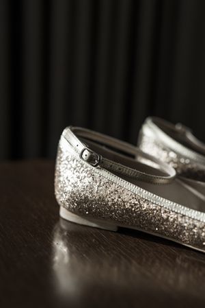 The Shoes! Silver Sequin Shoes Details