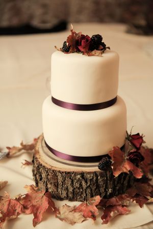Hoopes Events | Felicia and Jared | Park City Mountain Resort | Park City Utah | Wedding Cake on Wooden Charger Felicia_Jared_Park_City_Mountain_Resort_Park_City_Utah_Wedding_Cake_On_Wooden_Charger.jpg
