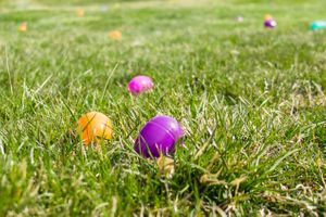 Hoopes Events | Zermatt Spring Extravaganza | 2018 | Zermatt Utah Resort | Midway Utah | Easter Eggs in Grass Zermatt_Spring_Extravaganza_2018_Zermatt_Utah_Resort_Midway_Utah_Easter_Eggs_in_Grass.jpg