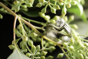 Hoopes Events | Tina and Dan | Snowbird Resort | Snowbird Utah | Details | Greenery | Rings Tina_Dan_Snowbird_Resort_Snowbird_Utah_Details_Greenery.jpg