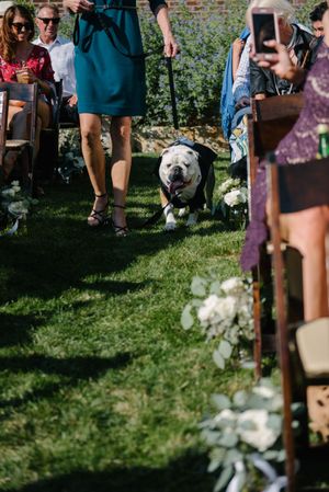 Hoopes Events | Tasha and Chip | Salt Lake City Utah | Sendoff with Love Balloons Tasha_Chip_Salt_Lake_City_Utah_Puppy_Ring_Bearer.jpg