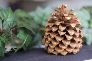Hoopes Events | Tina and Dan | Snowbird Resort | Snowbird Utah | Pinecone and Garland Decor Tina_Dan_Snowbird_Resort_Snowbird_Utah_Pinecone_Garland_Decor.jpg