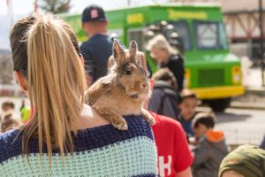 Hoopes Events | Zermatt Spring Extravaganza | 2018 | Zermatt Utah Resort | Midway Utah | Contented Rabbit on Girl's Shoulder Zermatt_Spring_Extravaganza_2018_Zermatt_Utah_Resort_Midway_Utah_Contented_Rabbit.jpg