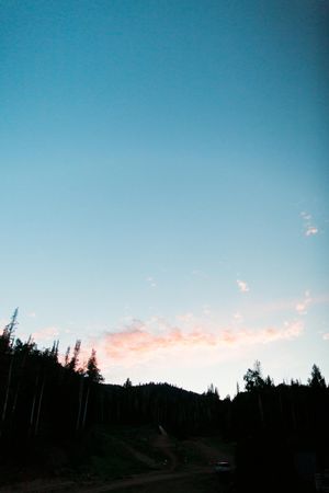 Peaceful Sunset Reception