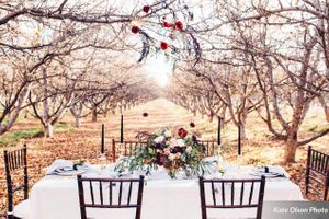 Head Table set in apple orchard in Autumn Details