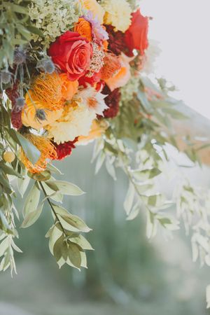 Peach and Coral Roses Decor
