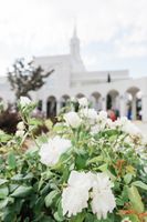 Temple with Flowers Details