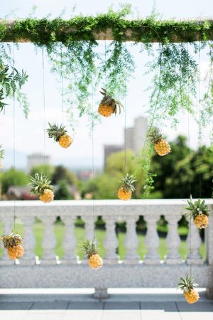 Hoopes Events | Tessa and Taani | Utah State Capitol | Salt Lake City Utah | Detail | Pineapples Hanging from Wooden Backdrop Tessa_Taani_Utah_State_Capitol_Salt_Lake_City_Utah_Detail_Pineapple_Adorned_Backdrop.jpg