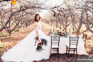 Wedding Setting Autumn Apple Orchard