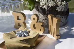 Hoopes Events | McCall and Brad | DeJoria Center | High Star Ranch | Kamas Utah | Decorative Weight on Cocktail Napkins McCall_Brad_High_Star_Ranch_Kamas_Utah_Cocktail_Napkins_Weight.jpg