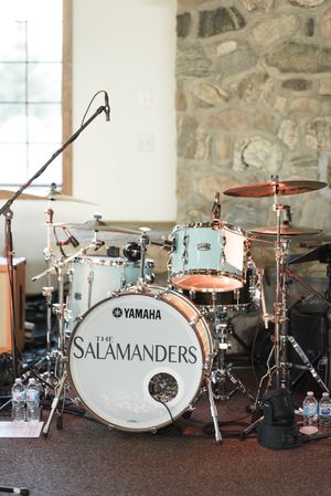 The Salamanders Live Band
