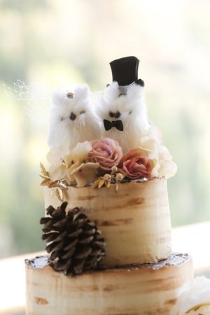 Hoopes Events | Tina and Dan | Snowbird Resort | Snowbird Utah | Furry, Lovable Cake Topper Tina_Dan_Snowbird_Resort_Snowbird_Utah_Furry_Lovable_Cake_Topper.jpg