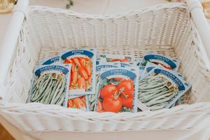 Hoopes Events | Tea Party Baby Shower | Provo Utah | Vegetable Seeds Tea_Party_Baby_Shower_Provo_Utah_Vegetable_Seeds.jpg