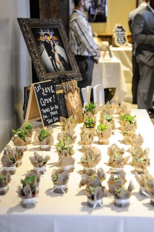 Hoopes Events | Felicia and Jared | Park City Mountain Resort | Park City Utah | Succulent Gifts Felicia_Jared_Park_City_Mountain_Resort_Park_City_Utah_Succulent_Gifts.jpg