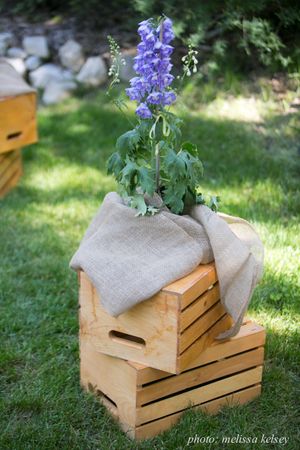 Hoopes Events | Lenora and John | Sundance Resort | Sundance Utah | Crate and Blue Flower Decor Lenora_John_Sundance_Resort_Sundance_Utah_Crate_Blue_Flower_Decor.jpg