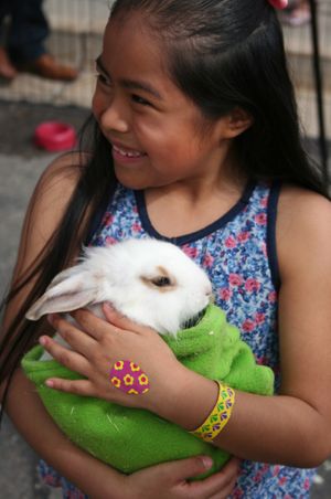 Smiling Girl Holding Rabbit Children's Activities