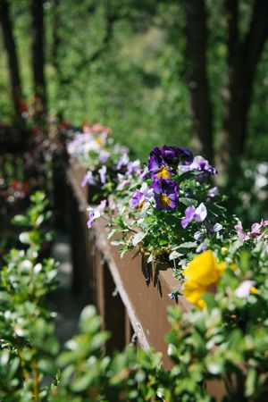 Hoopes Events | Claire and Scott | Millcreek Inn | Salt Lake City Utah | Flower Detail on Wooden Bridge Claire_Scott_Millcreek_Inn_Salt_Lake_City_Utah_Flower_Detail_Bridge.jpg