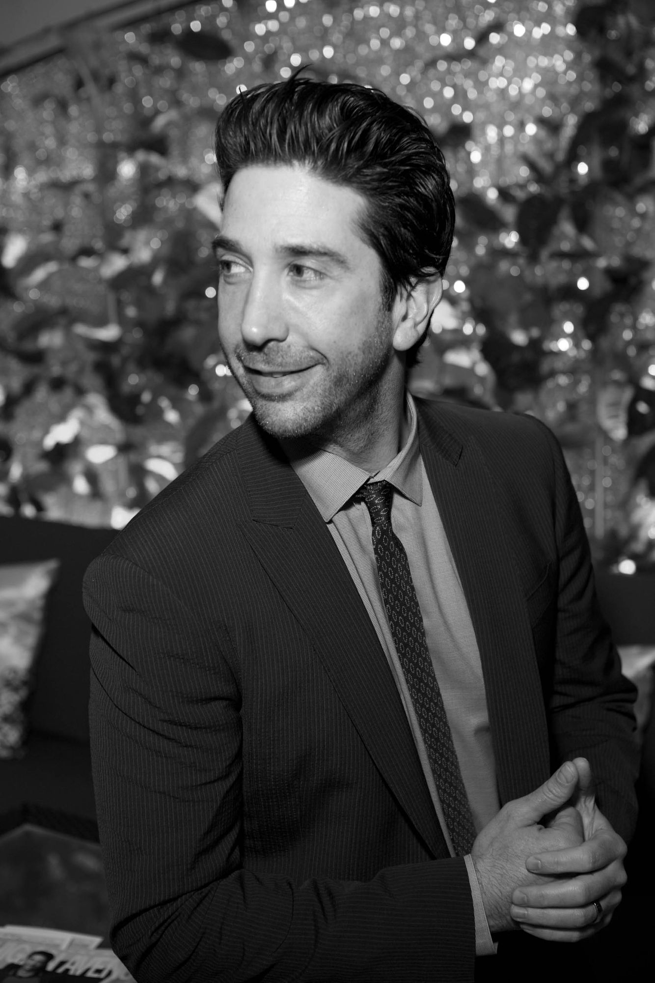 David Schwimmer By Chicago Celebrity Entertainment Event Photographer Jeff Schear