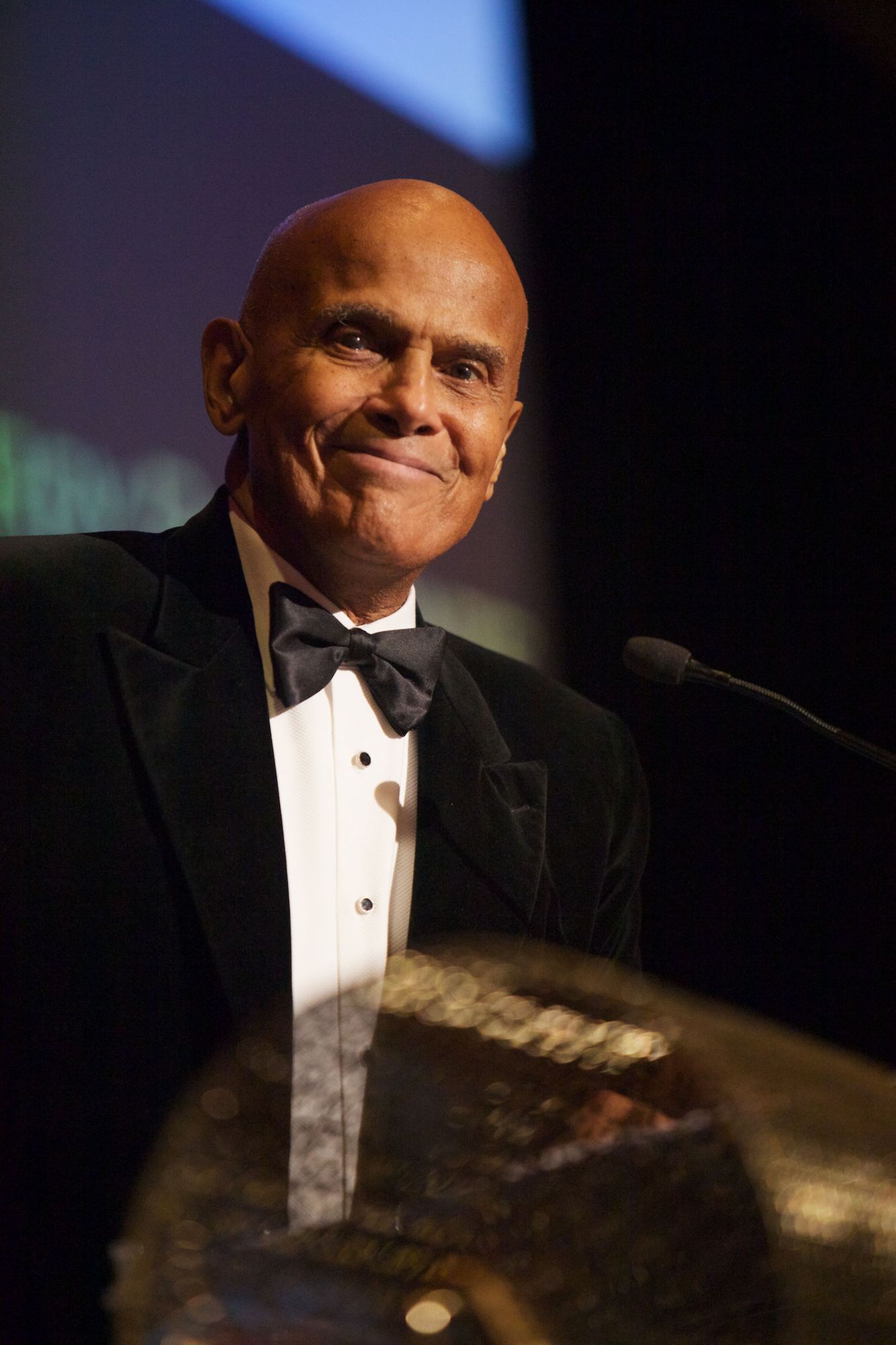 Harry Belafonte By Chicago Celebrity Entertainment Event Photographer Jeff Schear.jpg