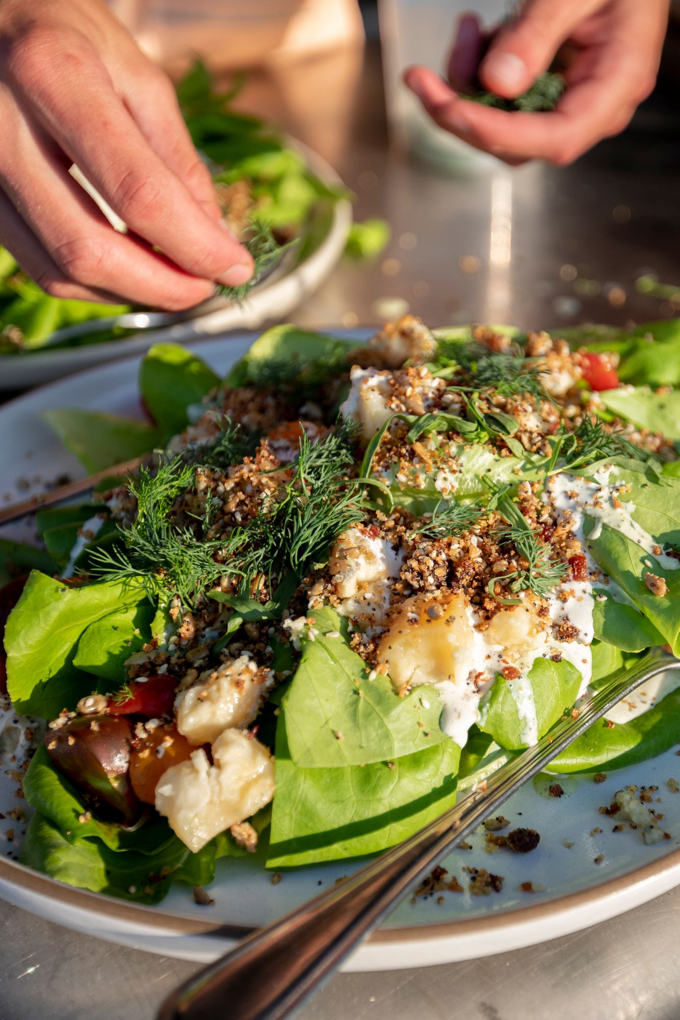 Salad Photo For Outstanding In The Field